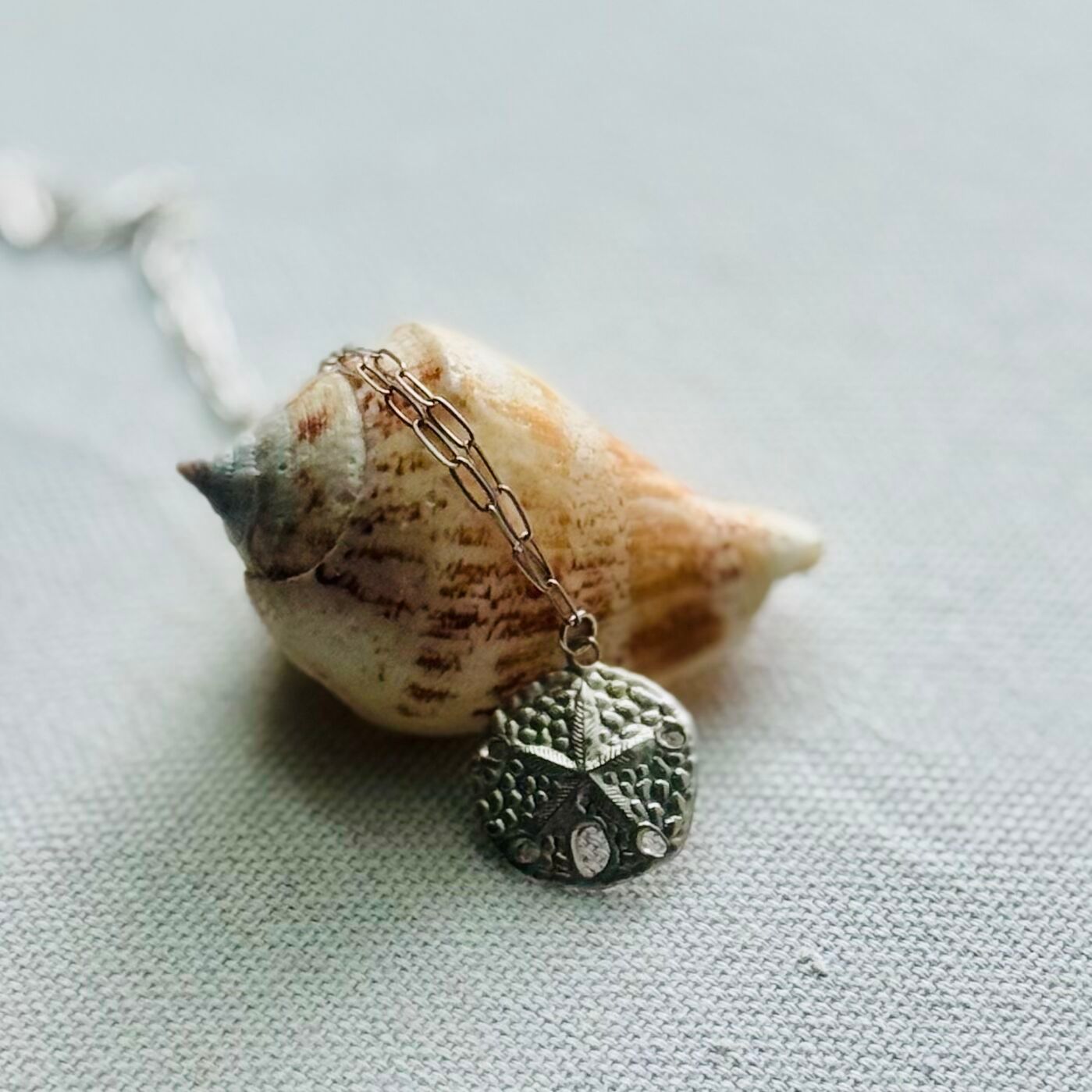 Sand Dollar Necklace: Sterling Silver